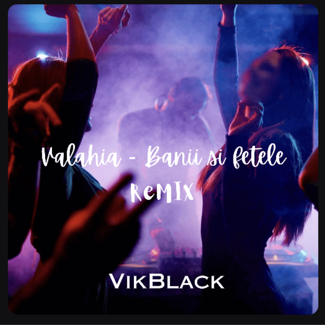 Cover pentru melodia Banii si fetele (Remix) de la Valahia, VikBlack
