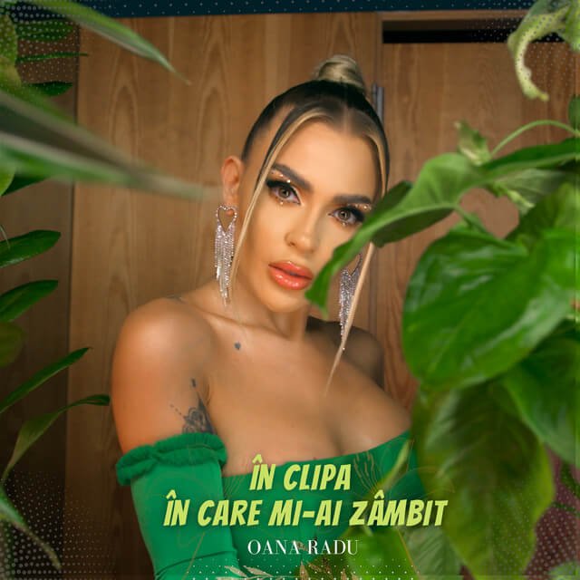 Cover pentru melodia In Clipa In Care Mi-ai Zambit de la Oana Radu