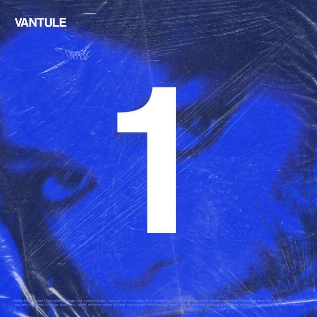 Cover pentru melodia Vantule de la Misha Miller