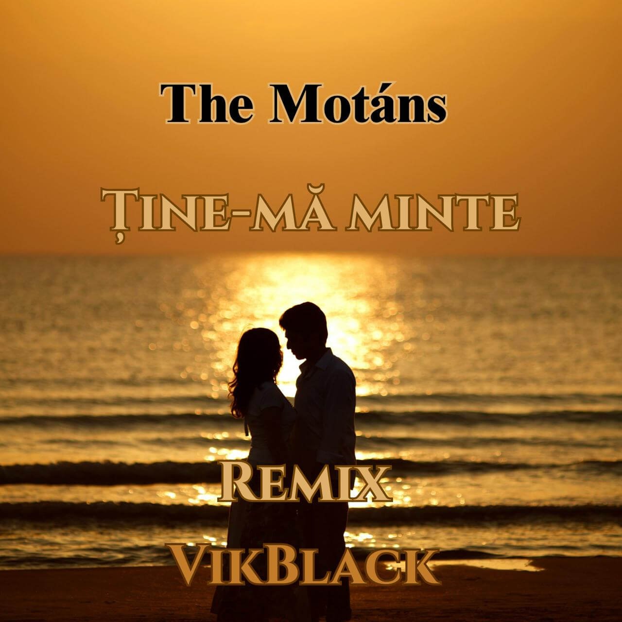 Cover pentru melodia Ține-mă minte (Remix) de la The Motans, VikBlack