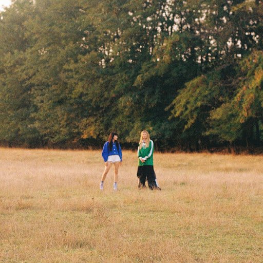 Cover pentru melodia Petale de la Irina Rimes, Delia