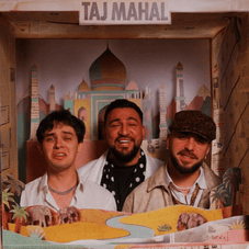 Cover pentru melodia Taj Mahal de la rares, Lazy Ed, Costel Biju