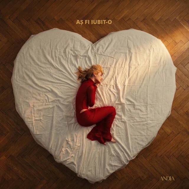 Cover pentru melodia Aș Fi Iubit-o de la Andia