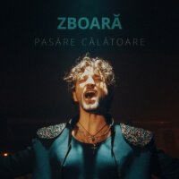 Zboară Pasăre Călătoare