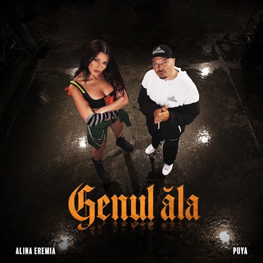 Cover pentru melodia Genul ăla de la Alina Eremia, Puya