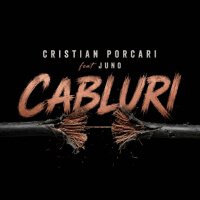 Cabluri