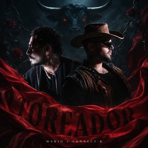 Cover pentru melodia Toreador de la Mario, Connect-R